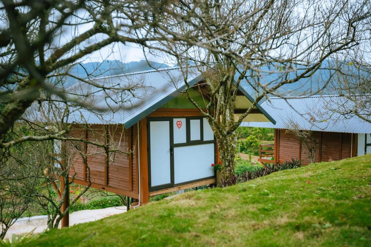 Eco House Moc Chau住宿加早餐旅馆 外观 照片