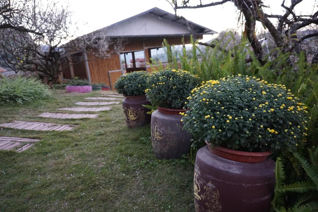 Eco House Moc Chau住宿加早餐旅馆 外观 照片